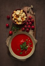 Tomato soup, with herbs and spices, homemade, no people