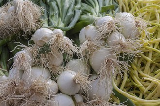 Spring onions and yellow bush beans, weekly market market, Treguier, Brittany, France, Europe