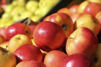 Close-up of fresh apples in a shop