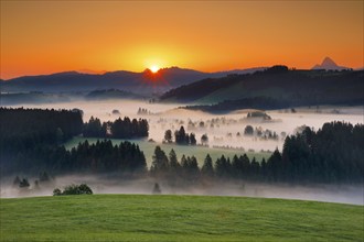 View over the Rothenthurm high moor at sunrise in the canton of Schwyz, Switzerland, Europe