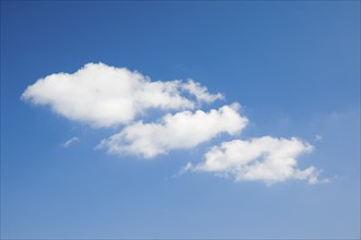 White fleecy clouds adorn the blue sky