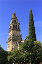 Cathedral belfry bell tower, Toree del Laminar, Great Mosque, Cordoba, Spain, Europe