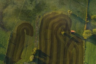 Aerial view of a meadow fertilised with liquid manure in the morning light, Alpine foothills, Upper