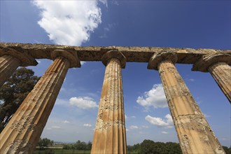 Metaponto, Metaponte, Doric hera temple, Tavole Palatine, Basilicata, Italy, Europe