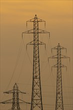 Electricity pylons silhouette at sunset, Kent, England, United Kingdom, Europe