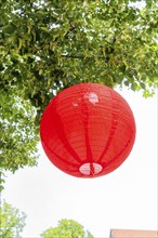 Close-up of a red lantern hanging from a tree in summer, Nagold, Black Forest, Germany, Europe