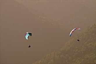 Two paragliders flying over the forest, Alsace, France, Europe