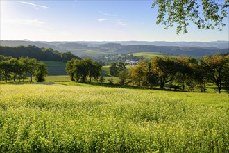 View of Nentershausen, Richelsdorfer Gebirge, East Hessian Highlands, Hesse, Germany, Europe