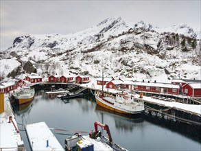 Red wooden houses in the harbour of the authentic fishing village of Nusfjord, snow-capped