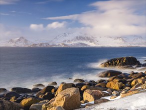 Rocky coast, snow-capped mountains in the background, Lofoten, Norway, Europe