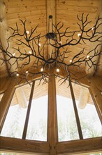 Illuminated deer antlers chandelier hanging from high cathedral knotty pine wood planks ceiling