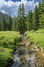 Landscape and nature around Bad Tölz, Bavaria, Germany, Europe