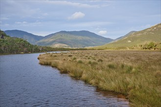 Nature landscape of the Tidal river in spring, Wilsons promontory national park, Australia, Oceania