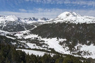 Winterliche Berglandschaft mit schneebedeckten Bergen, dicht bewaldeten Hängen und blauem Himmel