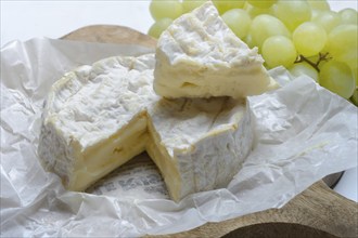 French Camembert, cheese on a wooden board