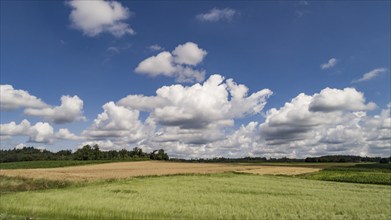 Summery cloudy sky over a cultivated landscape in Bavarian Swabia, Bavaria, Germany, Europe