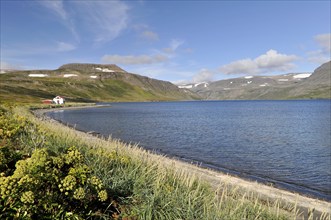 Beach, Hesteyri, Hesteyrarfjörður or Hesteyrarfjördur, Hornstrandir, Westfjords, Iceland, Europe