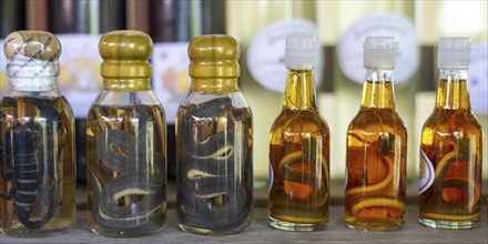 Choum, rice liquor, rice wine with pickled scorpions and Snakes for sale, Laos, Asia