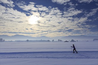 Cross-country skier, woman, adult, on cross-country trail in front of mountains, snow, winter,