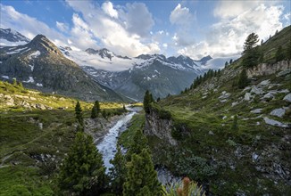 Mountain landscape with mountain stream Zemmbach, behind mountain peak Steinmandl and Großer