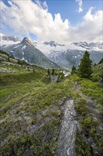 Mountain landscape with mountain peak Steinmandl and Großer Möseler with glacier Waxeggkees,