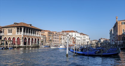 Mercato di Rialto on the Grand Canal, gondolas at the jetty, Venice, Veneto, Italy, Europe