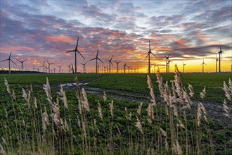 Wind farm near the East Frisian town of Norden, east of the town, sunset, Lower Saxony, Germany,