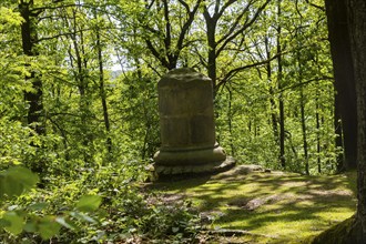 Firsten quarry in the Königshain mountains, Königshain, Saxony, Germany, Europe