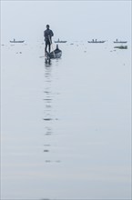 Fishermen on the Vembanad Lake in front of sunrise, Kerala, South India, India, Asia