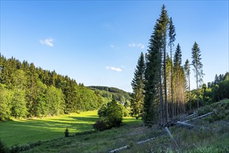 Landscape in the Sauerland, Rothaargebirge, north-west, above the town of Bad Berleburg, North