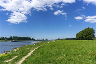 Urdenbachen Kämpe nature reserve, Lower Rhine cultural landscape with pollarded willows, fruit