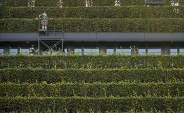 Green façade, made of over 30, 000 hornbeams forming a hedge a good 8 kilometres long, on the roof