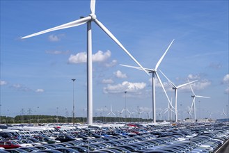 Storage area for new cars in the port of Vlissingen-Oost, vehicles are temporarily stored on over