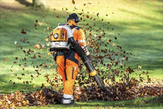 Leaf blower, removal of autumn leaves in a municipal park, Duisburg, North Rhine-Westphalia,