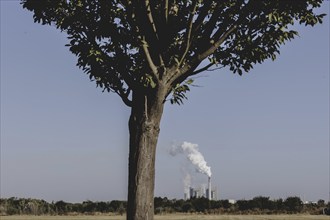 Schkopau coal-fired power station, photographed from Merseburg, 28/08/2024