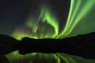 Northern Lights (Aurora borealis) reflected in a lake, Rago National Park, Nordland, Norway,