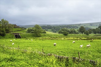 Farms over North Pennines, Cumbria, Durham, Northumberland, North Yorkshire, England, United