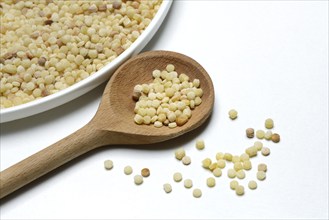 Fregola in wooden spoon, pasta variety from Sardinia, Italy, Europe