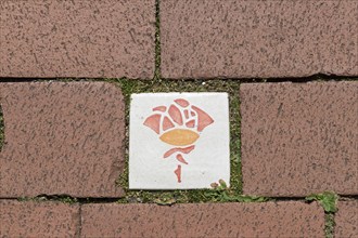 Tile in the pavement, Rose, Hildesheim, Lower Saxony, Germany, Europe