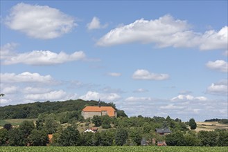 Former monastery church, church, houses, Wittenburg, Elze, Lower Saxony, Germany, Europe