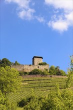 Hohenbeilstein Castle, hilltop castle, Beilstein, Heilbronn district, Baden-Württemberg, Germany,