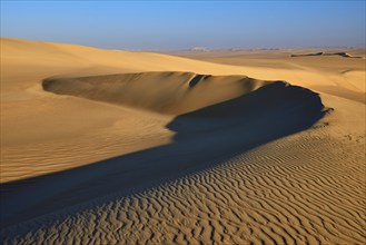 Wide sand dunes with clear lines and shadows under a blue sky in the desert, Matruh, Great Sand