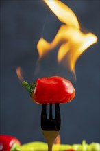 Burning red pepperoni on a fork, close-up, food photography