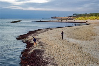 Baltic Sea beach, walkers on the Baltic Sea coast on Wustrow beach in the evening light, evening