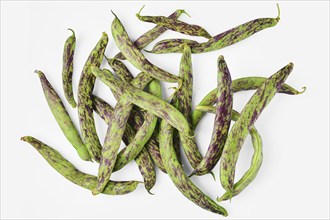 A vibrant collection of freshly harvested purple green beans sprawled across a surface, showcasing