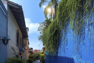 Scenic colorful colonial architecture of Cuernavaca streets in historic center in Mexico Morelos