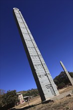 Tigray region, in the stele park of Axum, Aksum, Ethiopia, Africa