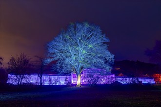 It's the most beautiful time of the year when the sparkling evening trail finally lights up