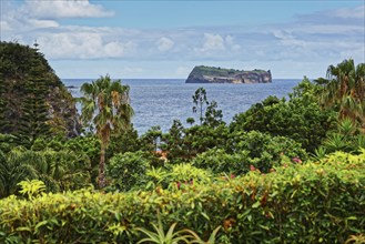 View of the small island Ilhéu de Vila in the sea with lush tropical vegetation in the foreground,