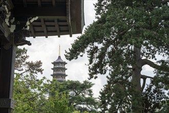 Wooden building with ornate wood carvings, Japanese Gateway, in the background the large pagoda,